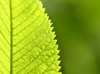 Sustainability reporting – finally taking off?