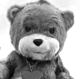 enigma bear bw