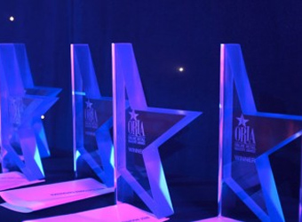 SurfStitch, Woolies, Sneaking Duck dominate online retail awards