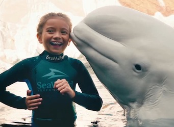 California tourism body partners Qantas for $2m Australian consumer campaign
