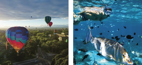 Content - hot air balloons and fish