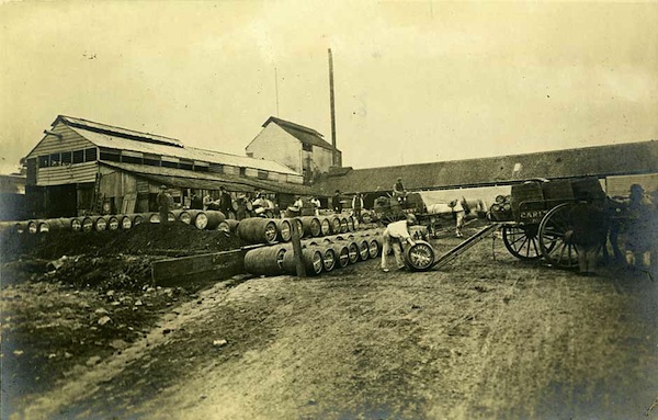 carlton draught, history, brewery, beer