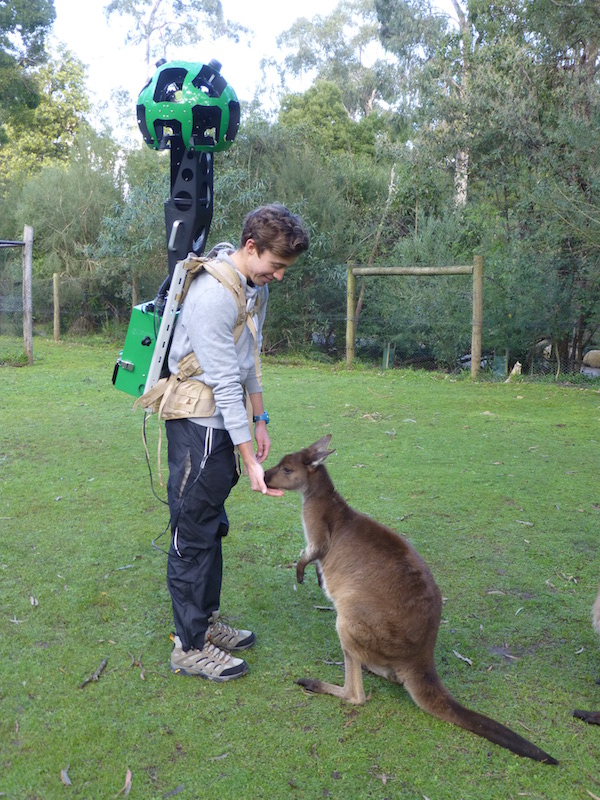 Google Street View Trekker for Tourism Victoria with a kangaroo Google Street View Trekker for Tourism Victoria with a kangaroo