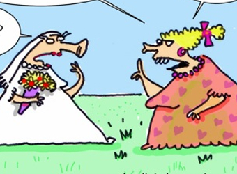 Social media saved my marriage – cartoon