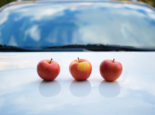 Apple is secretly designing electric cars, rumours suggest