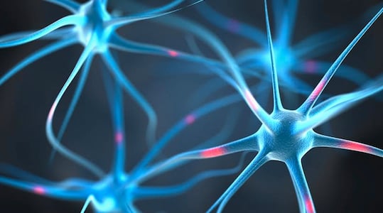 Brain trust: How will customer connection change in the next five years?