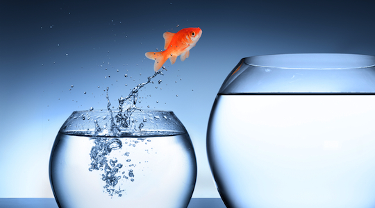 Career movements: March to May 2015