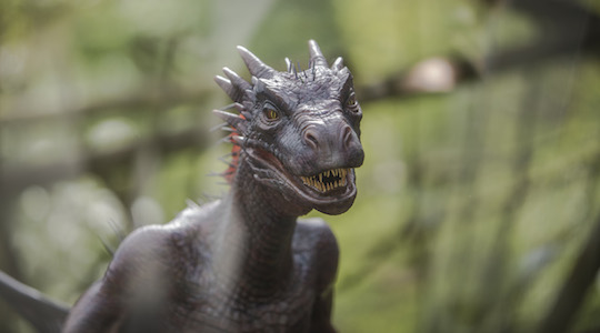 Game of Thrones dragon to light a fire for Northern Ireland tourism