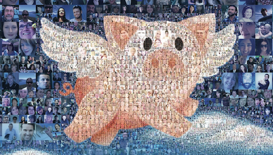 Pigs can fly: inside Animals Australia’s ‘Make It Possible’ campaign