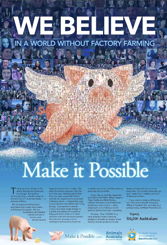 Pigs can fly: inside Animals Australia's 'Make It Possible' campaign |  Marketing Mag