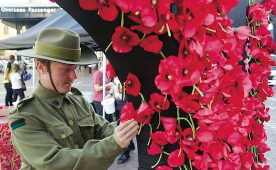 soldier with poppies
