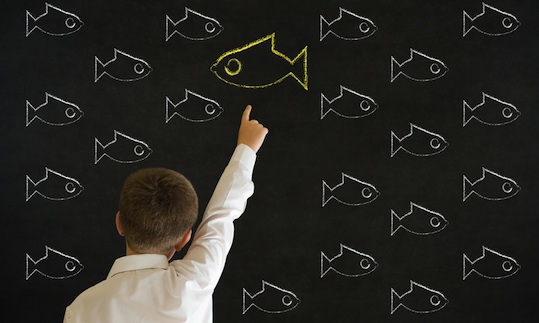 Silos in our minds: why 90% of organisational potential remains untapped