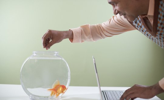 How to drive a successful performance advertising campaign