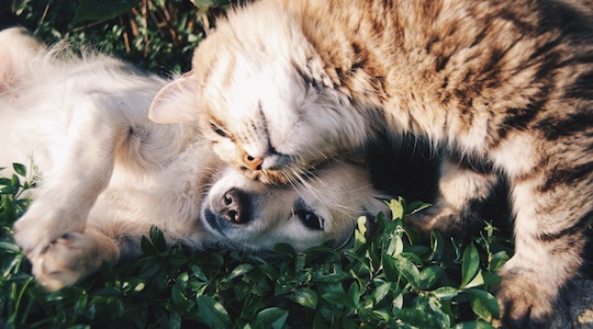 What happens when we treat customers as friends – or foes