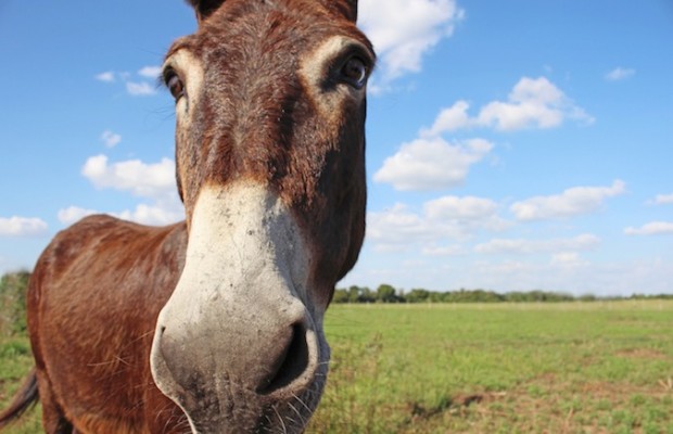 Averages are for assholes: five ways to learn what your customers are really thinking