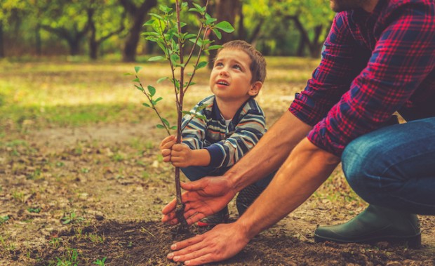 Why our business became a B Corp
