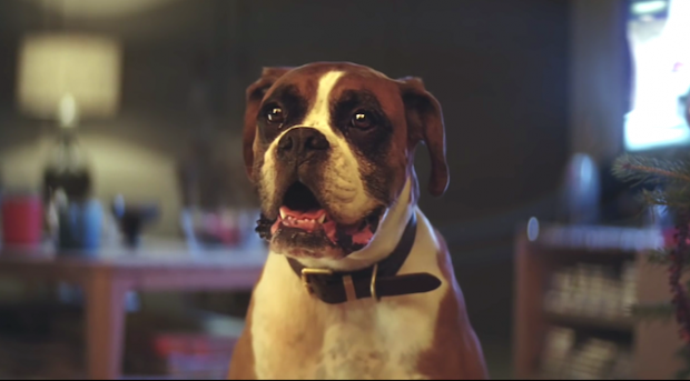 Top 10: ‘Buster the Boxer’ and ‘We’re the Superhumans’ were the most shared ads of 2016