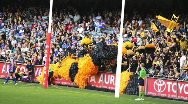 Extended by popular demand – AFL stretches ad to full 30-minute program