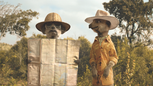 Meerkats test out holiday for Compare The Market competition winners