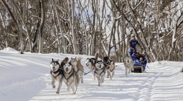 This campaign was snow joke – how this ski resort rallied an entire mountainside