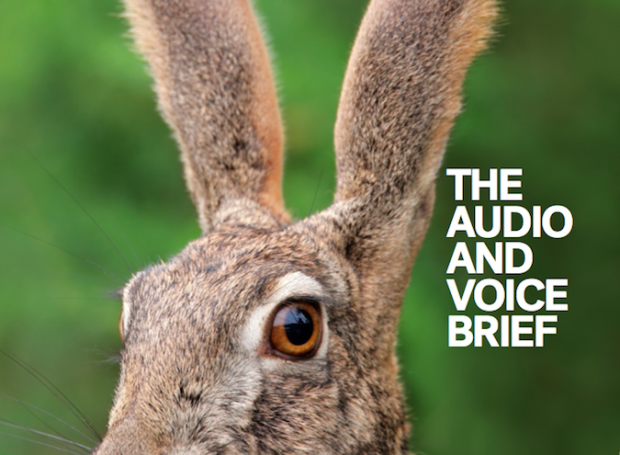 The Audio and Voice Brief – Marketing Mag launches its latest special issue