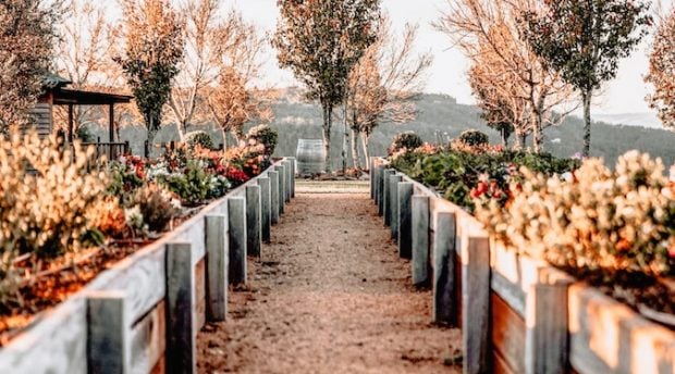 Down the garden path? Six ways for brands to blend martech with customer journeys