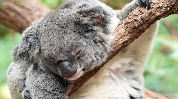 A stab in the dark – how sleep influences memory and why marketers should care