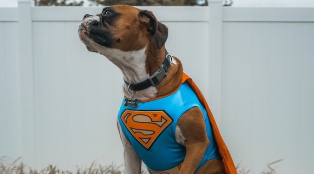 Fictional characters more brand safe than real influencers, study discovers