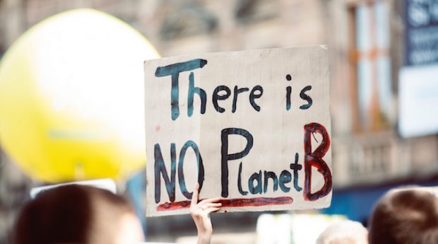Creativity will save the planet