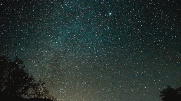 Important lessons from a CMO: Let data be the ‘North Star’ to guide your decisions
