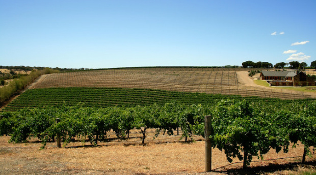 South Australia giving away free Qantas flights to launch tourism between SA and NSW