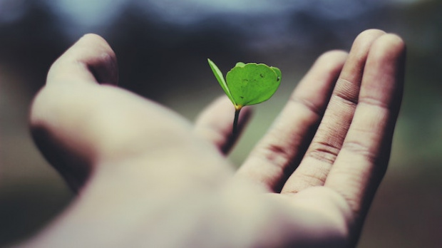 Chief Growth Officers: the next evolution of the C-suite?