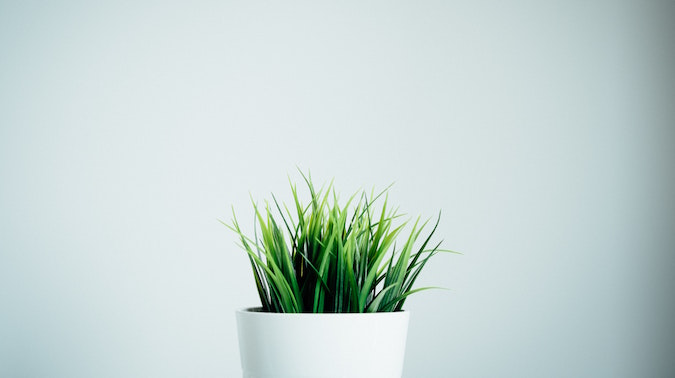 Laying the marketing groundwork in early-stage startups