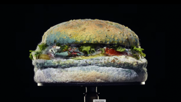 TikTok creator reimagines the Cannes Lions Grand Prix winning Burger King campaign