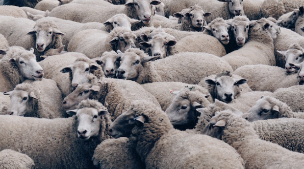 Standing out when attention is a limited commodity