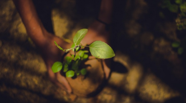 Make sustainability tangible to customers: Interview with Kelly Beater (felix mobile)