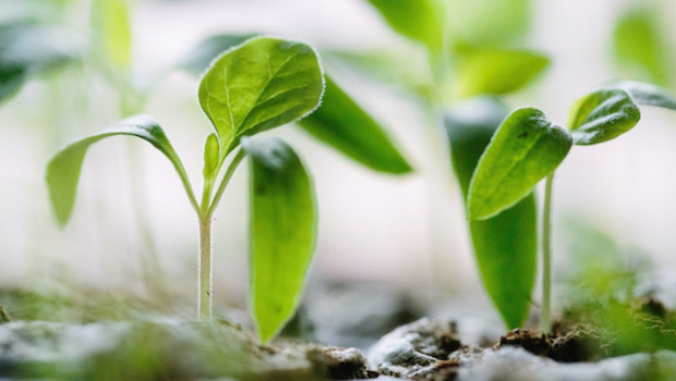 LinkedIn spring update