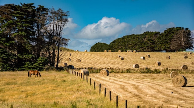 Buy From The Bush partners with PayPal Australia for national competition