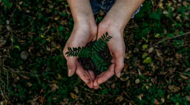 How can businesses can become more sustainable during peak online shopping season?