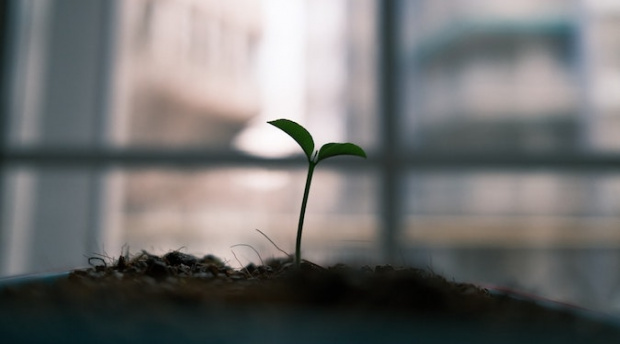 How to emerge better than ever in the new normal