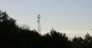 Optus chief