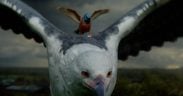 Allianz tops list of favourite ads