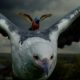 Allianz tops list of favourite ads